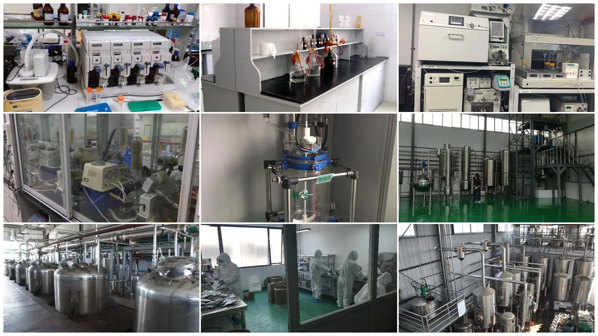 Papain Extract super factory