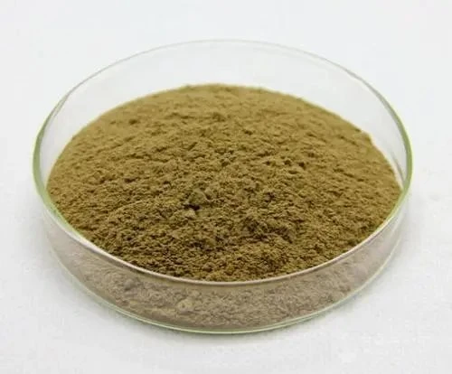 pure Garlic Extract powder