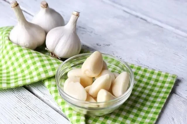 Garlic Extract powder price