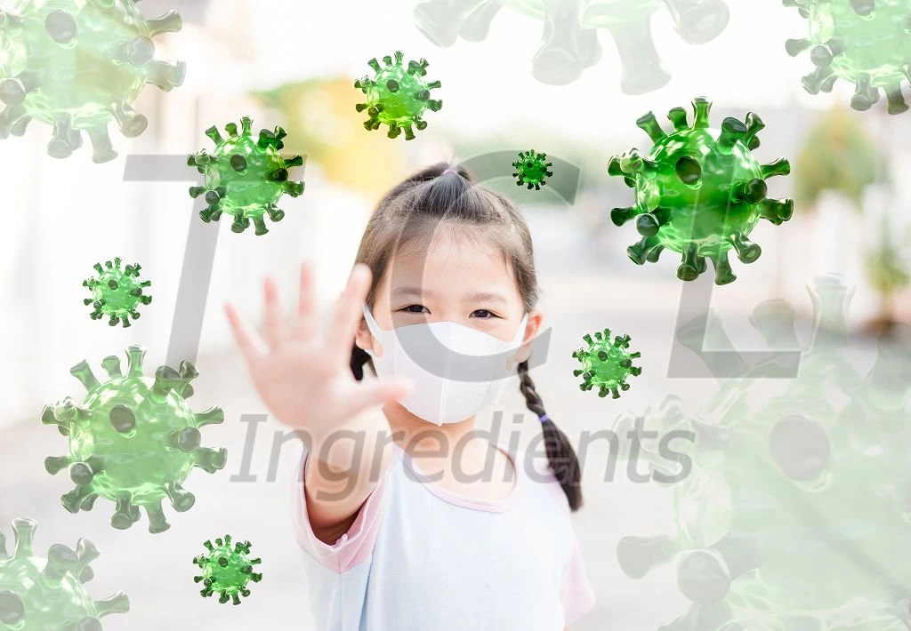 china Garlic Extract powder