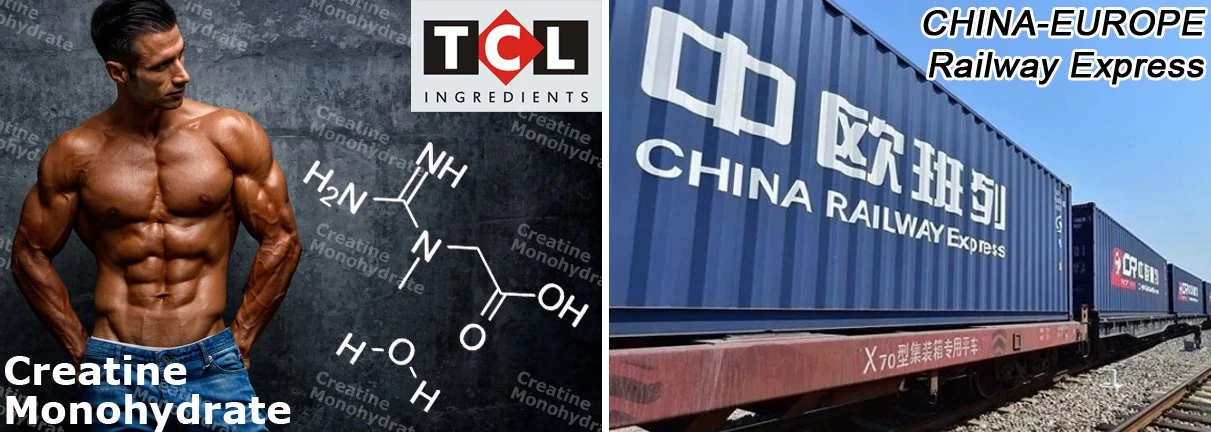 best creatine manufacturer 