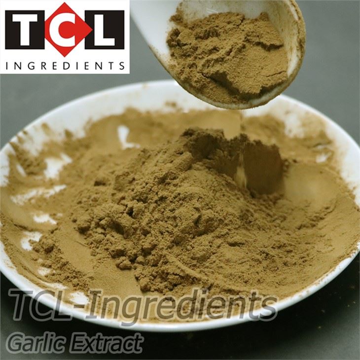 Bột chiết xuất tỏi