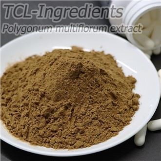 Polygonum Multiflorum bột